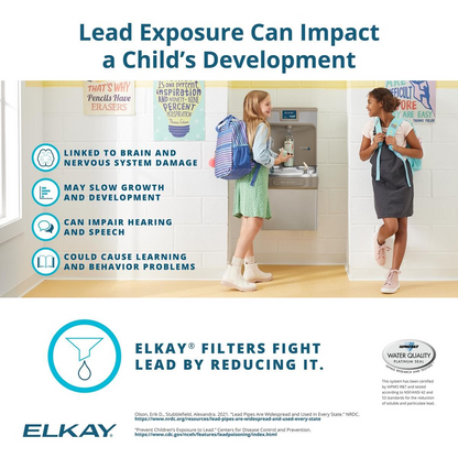 Elkay 51300c Replacement Filter 51300C, ERF750,55898C Filter (Bottle Fillers)